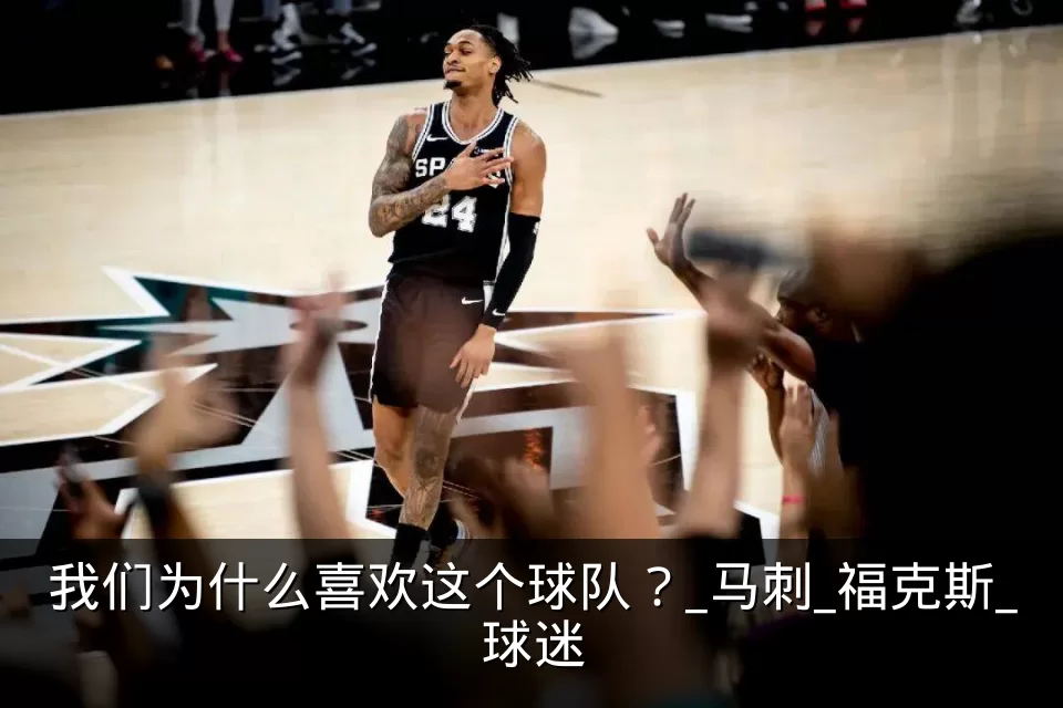 我们为什么喜欢这个球队?_马刺_福克斯_球迷